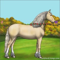 Horse Color:Palomino