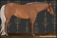 Horse Color:Chocolate Silver Bay 