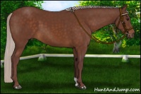 Horse Color:Chocolate Silver Brown 
