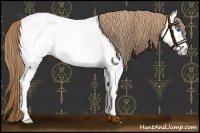 Horse Color:Chestnut Frame Near Fewspot 