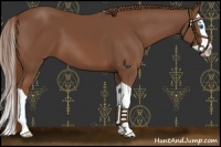 Horse Color:Chestnut Splash 