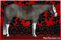Horse Color:Midnight Bay Ice Dun Splash