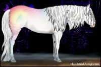 Horse Color:White Spotted Silver Perlino Dun Rabicano 