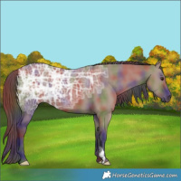 Horse Color:Nacre Liver Red Dun Ice 