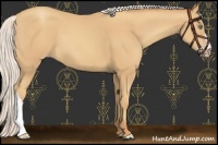 Horse Color:Chocolate Silver Sable Champagne