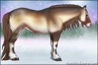 Horse Color:Liver Red Onyx Rabicano 