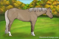 Horse Color:Silver Grullo 