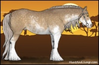 Horse Color:Chocolate Palomino Sabino 