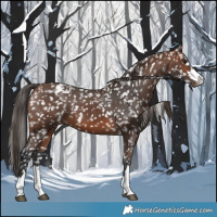 Horse Color:Brown Snowflake Varnish 