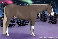 Horse Color:Silver Black Sabino 