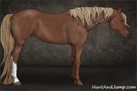 Horse Color:Chestnut 