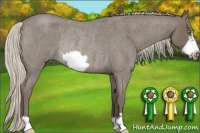 Horse Color:Silver Smoky Blue Roan Frame Rabicano