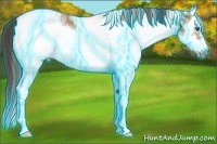 Horse Color:Thunderstruck White Spotted Bay Roan Dun Splash Frame Varnish 