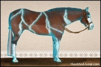 Horse Color:Thunderstruck Bay Sabino Splash 