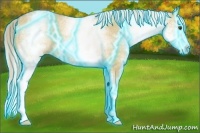 Horse Color:Thunderstruck White Spotted Palomino Dun Sabino Splash 