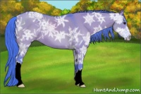 Horse Color:Watercolor Smoky Grullo Ice