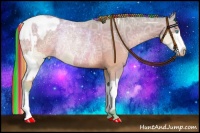 Horse Color:Painted Watercolor Chocolate Palomino Ice Pearl Dun Splash Tobiano  and Painted Watercolor Brown Ice Pearl Rabicano 