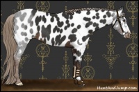 Horse Color:Liver Chestnut Near Leopard 