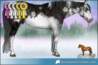 Horse Color:White Spotted Midnight Brown Ice Onyx  and White Spotted Midnight Brown Ice Onyx Splash Frame 