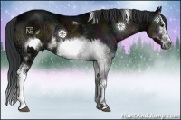 Horse Color:White Spotted Midnight Brown Ice Onyx  and White Spotted Midnight Brown Ice Onyx Splash Frame 