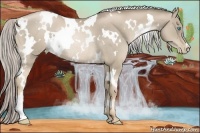 Horse Color:White Spotted Chocolate Palomino Pearl Rabicano