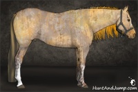 Horse Color:Red Dun Ice and Bay Ice Dun