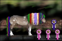 Horse Color:Painted White Spotted Brown Dun Tobiano 