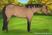 Horse Color:Brown Roan Dun 