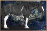 Horse Color:White Spotted Smoky Black Rabicano 