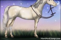 Horse Color:White Spotted Chocolate Silver Buckskin Pearl Dun Rabicano