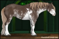 Horse Color:Liver Chestnut Sabino