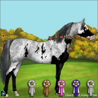Horse Color:White Spotted Classic Champagne Chinchilla Splash Rabicano