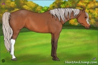 Horse Color:Silver Brown 