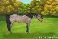 Horse Color:Brown Ice Roan