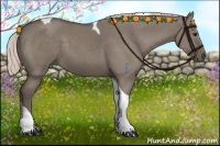 Horse Color:Silver Grullo Tobiano