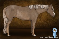 Horse Color:Chocolate Palomino Rabicano