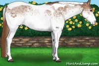 Horse Color:White Spotted Chestnut Ice Tobiano 