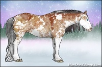Horse Color:Brown Dun Sabino Splash Rabicano 
