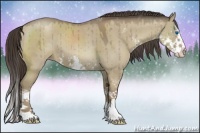 Horse Color:Classic Champagne Dun Sabino Splash Rabicano 