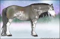 Horse Color:Grullo Sabino Rabicano Brindle 