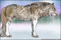 Horse Color:Liver Red Dun Sabino Rabicano