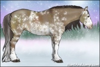 Horse Color:Liver Red Dun Sabino Splash Rabicano Brindle