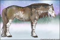 Horse Color:Liver Red Dun Sabino Rabicano