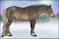 Horse Color:Liver Chestnut Rabicano 