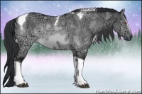 Horse Color:Brown Chinchilla Ice Dun Sabino Tobiano