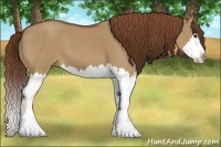 Horse Color:Red Dun Splash 