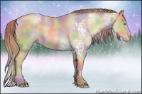 Horse Color:Nacre White Spotted Buckskin Pearl 