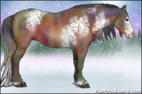 Horse Color:Nacre White Spotted Brown 