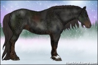 Horse Color:Liver Chestnut Ice 