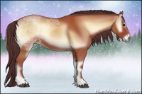 Horse Color:Chocolate Brown Ice Onyx